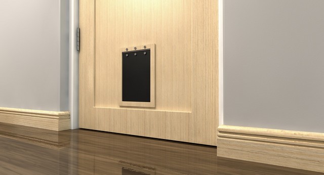Cat Flap Installation Chertsey, Ottershaw, Longcross, KT16