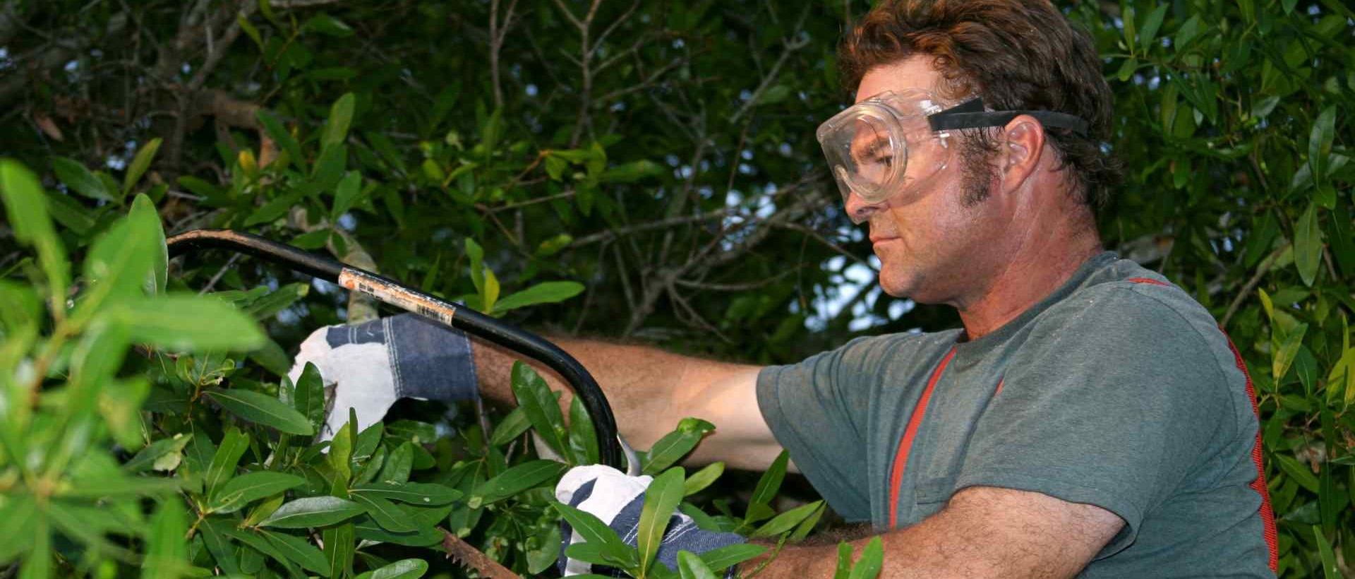garden clearance KT16
