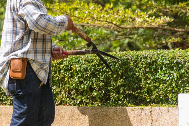 Garden Maintenance Chertsey, Ottershaw, Longcross, KT16